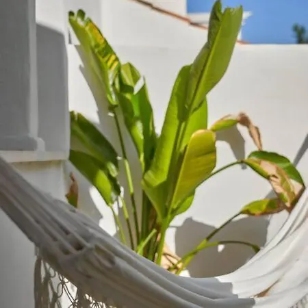 Esencia Marbella Private Pool Semesterbostad