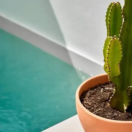 Esencia Marbella Private Pool Semesterbostad *