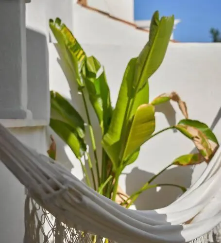 Esencia Marbella Private Pool Dom wakacyjny